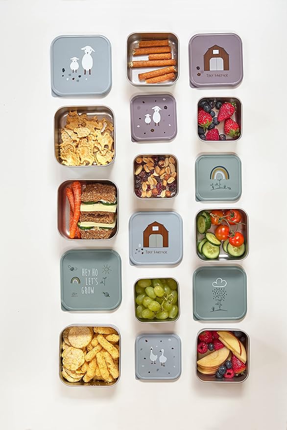 LÄSSIG Garden Explorer Snack Box Set of 3 Stainless Steel
