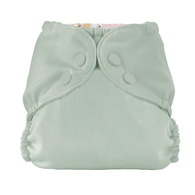 Esembly Cloth Diaper Cover - Reusable Swim Diaper, Waterproof, Breathable - Adjustable Outer Layer Over Absorbent Inner for Blowout Protection - Sea Glass, Size 1 (7-17lbs)