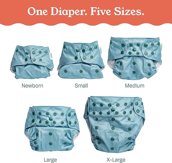 Kinder Cloth Diapers Reusable Baby Diapers Pocket Style Athletic Wicking Jersey, Wet Bag, Newborn to Potty Training 7-60lbs, One Size, Inserts NOT Included (Richard Scarry, 5 Pack, Without Inserts)
