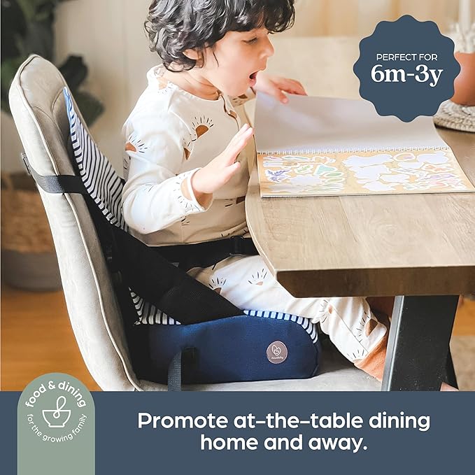 Dreambaby Grab ‘N Go Travel Booster Seat – Portable Toddler High Chair for Dining (6M-3Y) with Storage & Shoulder Strap