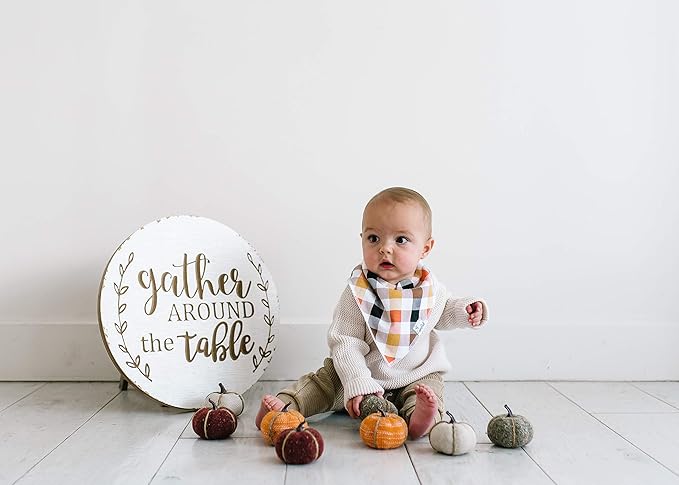 Copper Pearl Baby Bandana Bibs, 4 Pack