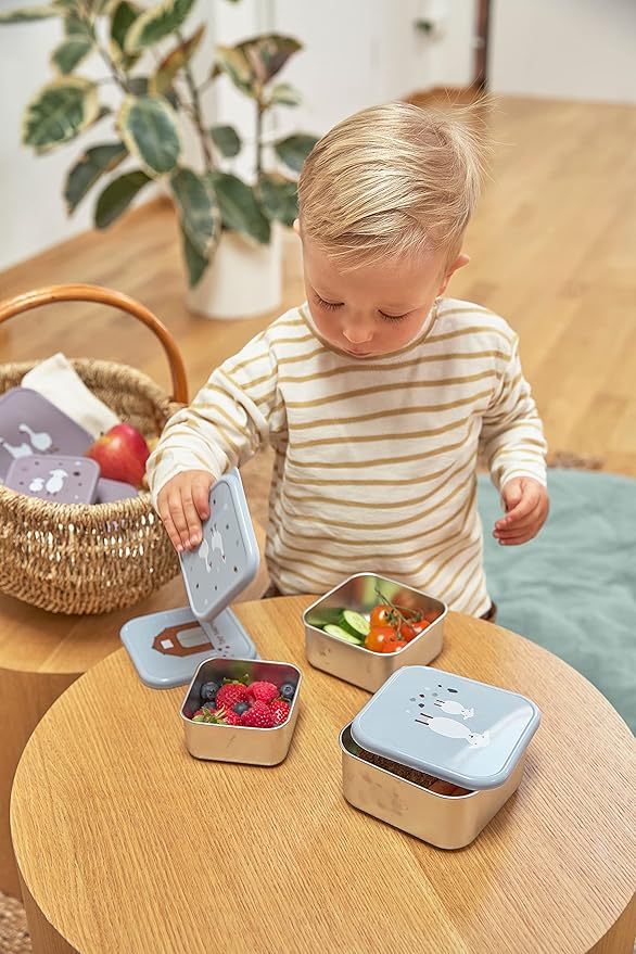 LÄSSIG Tiny Farmer Snack Box Set of 3 Stainless Steel Blue