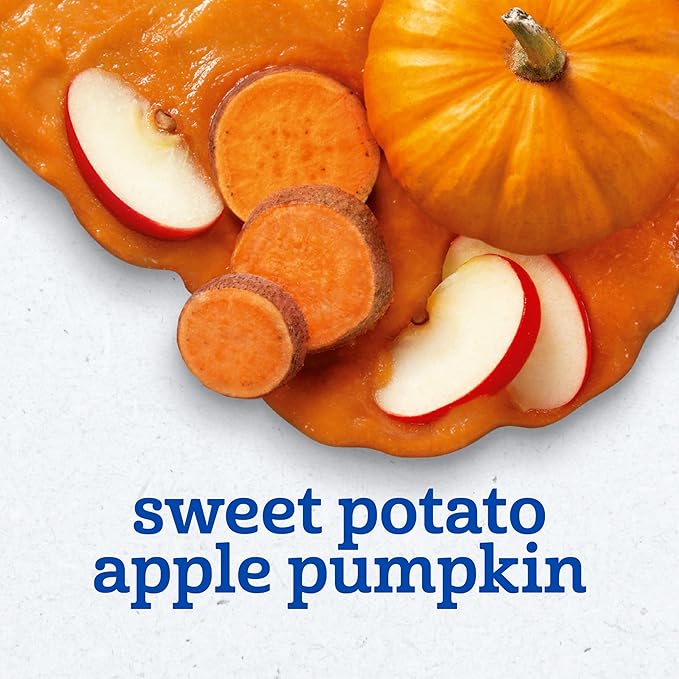 Gerber Baby Food 2nd Foods Blends, Sweet Potato Apple Pumpkin Puree, Veggie Power, Natural & Non-GMO, 4 Ounce Tubs, 2-Pack (Pack of 8)