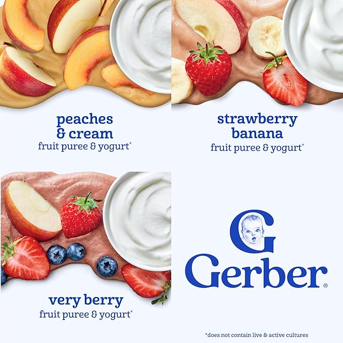 Gerber Toddler Food, Fruit Puree and Yogurt Pouches, Build Your Own Variety Pack, Toddler Pouches, 12-Pack