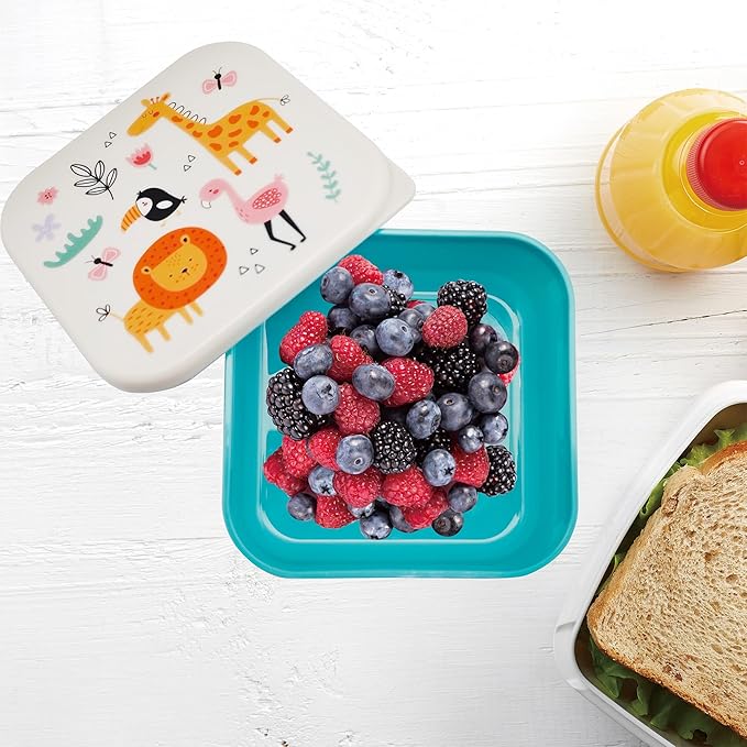 Jacent Safari Snack Boxes: 3 Count Pack with 3 Sizes, Craft/Snack Containers, Easy Open, Leak Proof Small Food Containers with Lids, Nesting Boxes For Sandwiches, Snacks, And More