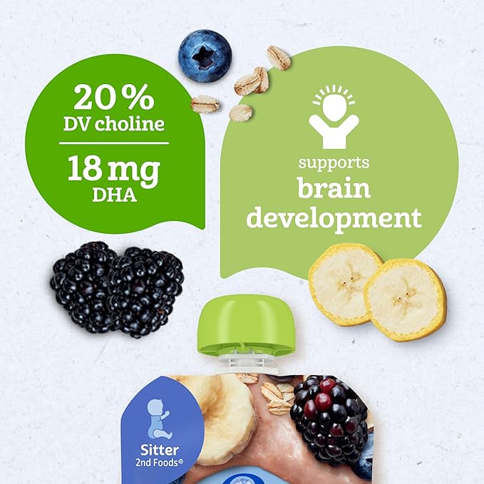 Gerber Organic Baby Food Pouches, 2nd Foods for Sitter, WonderFoods, Banana Blueberry Blackberry Oatmeal, 3.5 Ounce (Pack of 12)