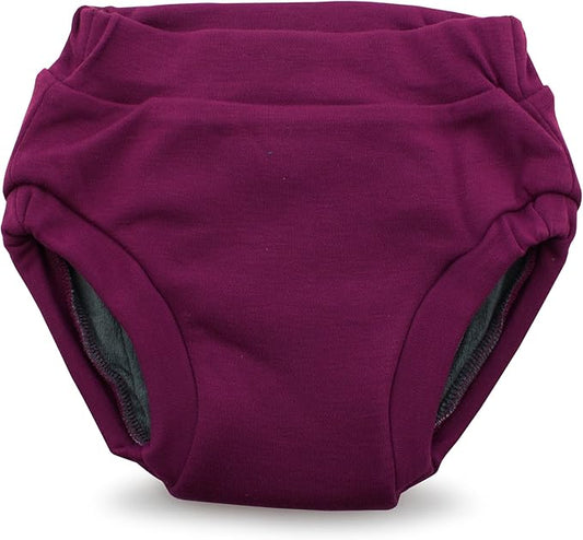 Kanga Care Ecoposh OBV Reusable Pull Up Toddler Underwear Potty Training Pants | Boysenberry Small 1T/2T