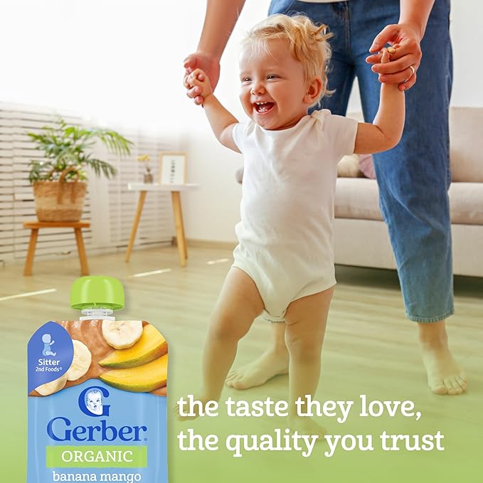 GERBER Infant Puree Organic Variety Pack 2nd Food Pouches 18x3.5oz