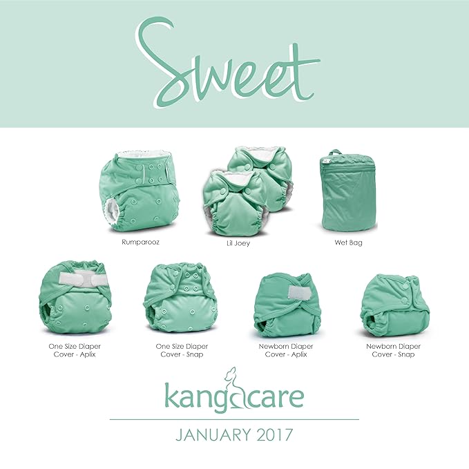 Kanga Care Lil Joey Newborn All in One AIO Cloth Diaper (2pk) Sweet 4-12lbs