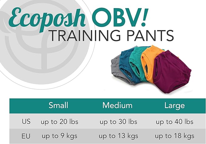 Kanga Care Ecoposh OBV Reusable Pull Up Toddler Underwear Potty Training Pants | Atlantis Small 1T/2T