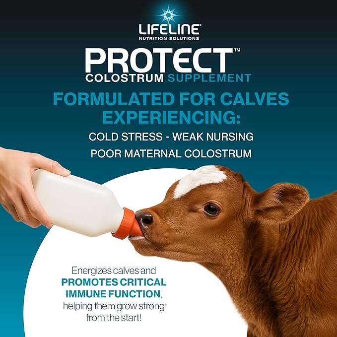 ANNUSO LIFELINE Protect Colostrum Supplement for Calves, 1lb Bag - 50g Globulin Protein per Feeding - 20% Added Fat and Carbohydrates - Immune and Energy Support for Newborn Calves
