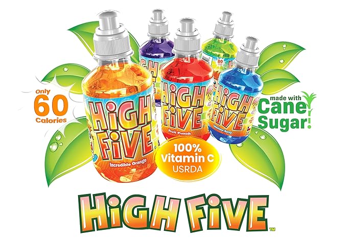 High Five Blueberry Flavored Juice Drink – 10.1 oz Bottles, Naturally Sweetened with Vitamin C, Low-Calorie Fruit Juice Beverages with Spill Proof Sports Cap (Pack of 24)