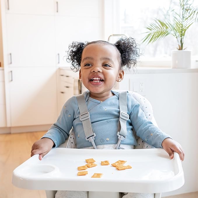 Regalo Baby High Chair for Babies and Toddlers, Foldable High Chair with Removable Tray & Cup Holder, Portable Toddler Highchair with 5-Point Harness, Lightweight Baby Feeding Chair, Jelly Bean Print