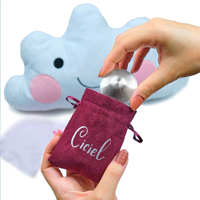 The Original Silver Nursing Cups - Nipple Shield - Breastfeeding Essentials Must Haves - Nipple Shields for Breastfeeding Newborn - (Regular (Blue Case))