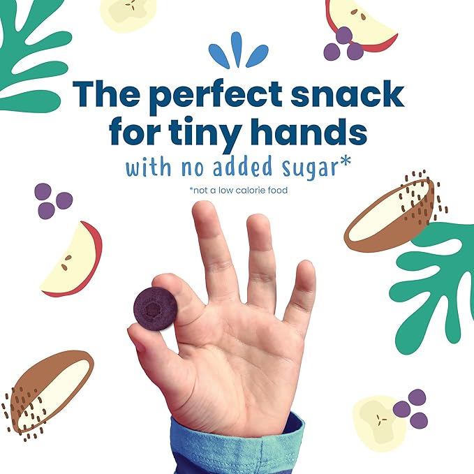 Amara Organic Fruit Bites Blueberry - No Artificial Colors/Dyes, No Added Sugar, Dairy-Free Fruit Snacks, Made with Organic Whole Foods, Healthy Fruit Snacks for Kids - 6 Pack