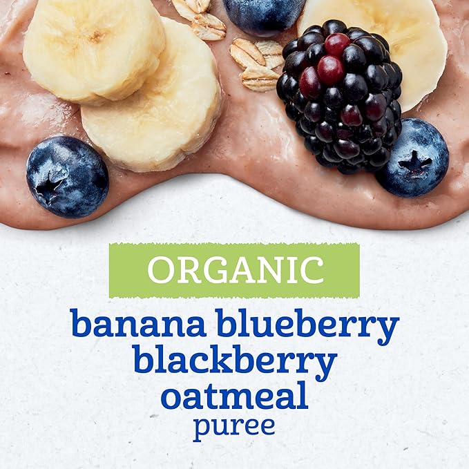 Gerber Organic Baby Food Pouches, 2nd Foods for Sitter, WonderFoods, Banana Blueberry Blackberry Oatmeal, 3.5 Ounce (Pack of 12)