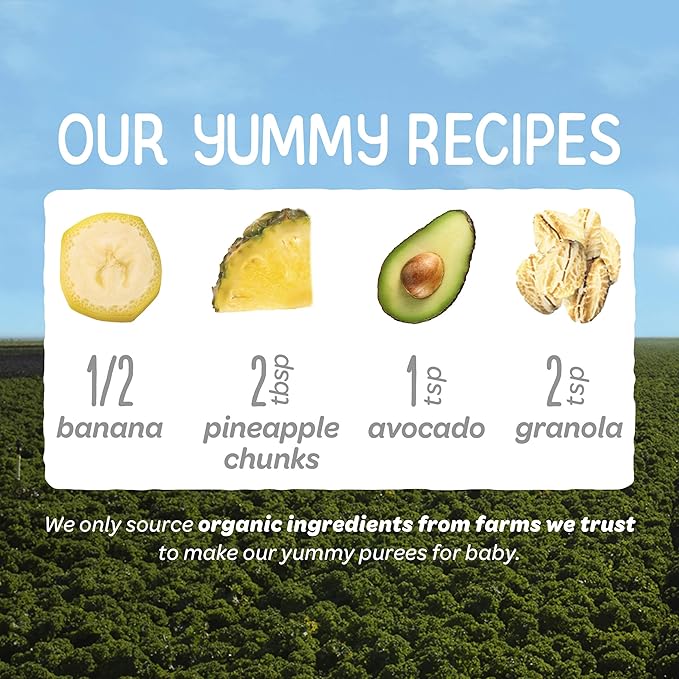 Happy Baby Organics Clearly Crafted Stage 2 Baby Food Bananas, Pineapples, Avocado & Granola, 4 Ounce Pouch (Pack of 16) (Packaging May Vary)