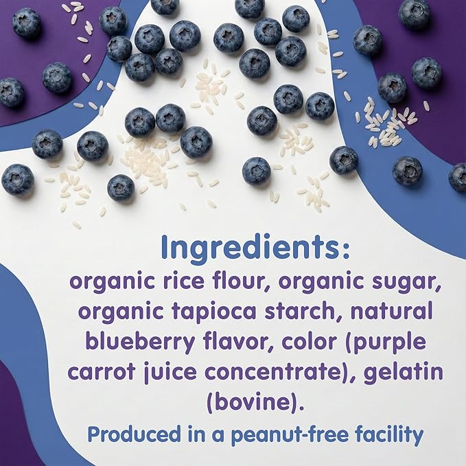 Toddler Mum-Mum Organic Rice Biscuits, Blueberry, Strawberry, Mango & Kiwi Variety Pack | 24 Count (Pack of 3) | Gluten Free, Allergen Free, Non-GMO | Toddler Snacks, Rice Rusk Crackers