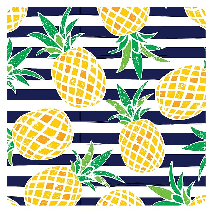 BapronBaby Summer Stripes Pineapple Wet Dry Bag - Waterproof Two Zipper Pockets - Reusable for Mealtime, Diapers, Stroller, Snacks, Swimsuits - Machine Washable - 11" x 9"