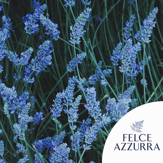 Felce Azzurra Classico Body Powder in Bag - Natural Pure Talcum Powder - No Preservatives or Dyes - Dermatologically Tested - Pack of 12 (12 x 100 g)